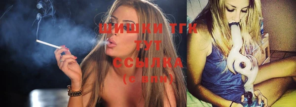 гидропоника Гусев
