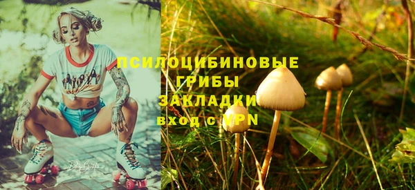трава Березники