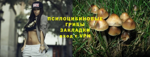 гидропоника Гусев