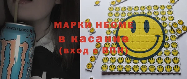 гидра Гусиноозёрск