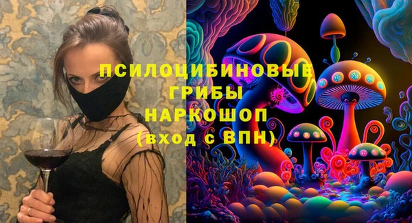 гидропоника Гусев
