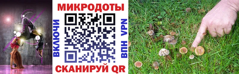 Псилоцибиновые грибы GOLDEN TEACHER  купить   Заводоуковск 